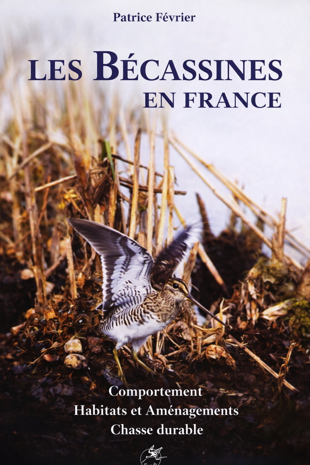 Les bécassines en France