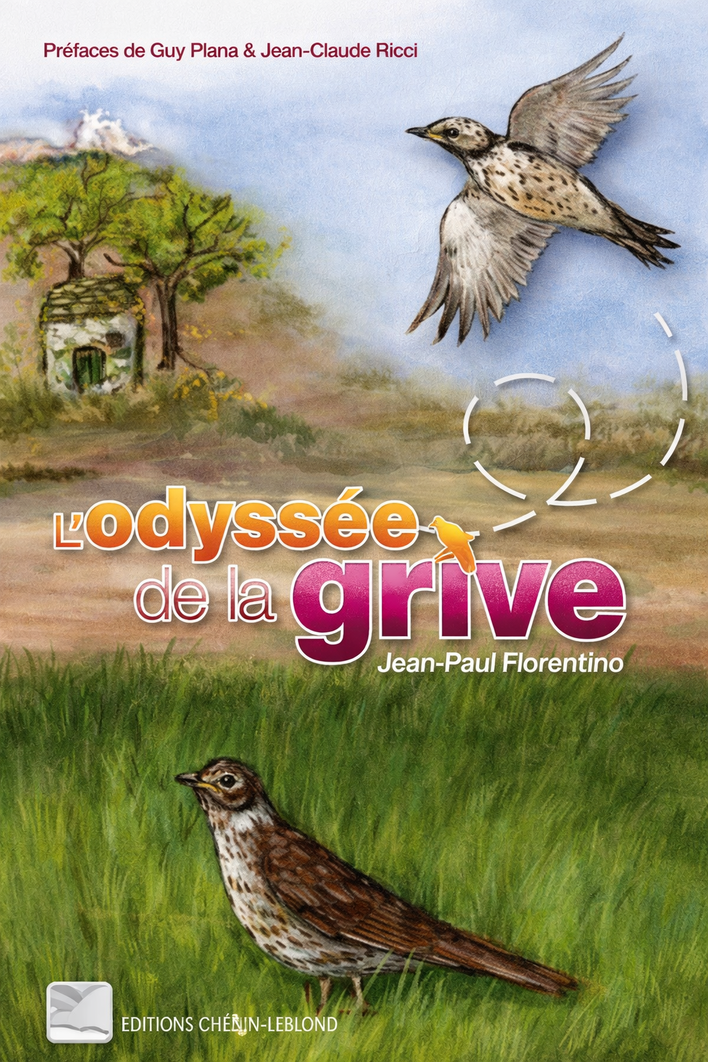 L'odyssée de la grive